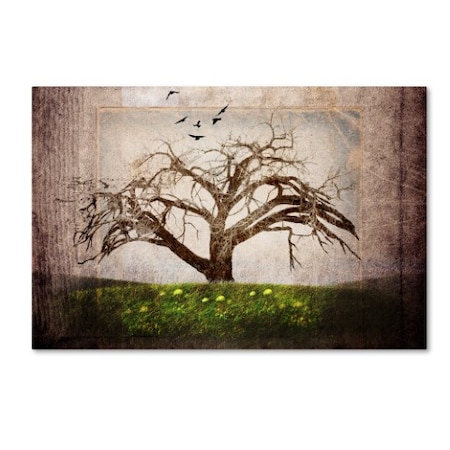 LightBoxJournal 'Cottonwood Tree Part 03' Canvas Art,30x47